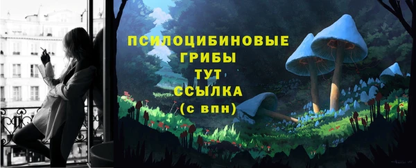 ПСИЛОЦИБИНОВЫЕ ГРИБЫ Магас