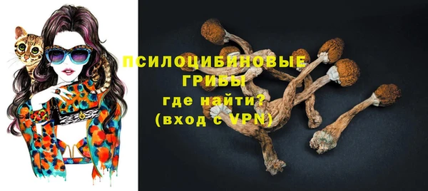 дурь Майский